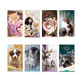 Купить блокнот а6 24л. на скрепке "cute animals" в Йошкар-Оле, интернет-магазин «Мир Книги»
